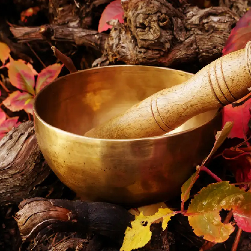 Ayahuasca